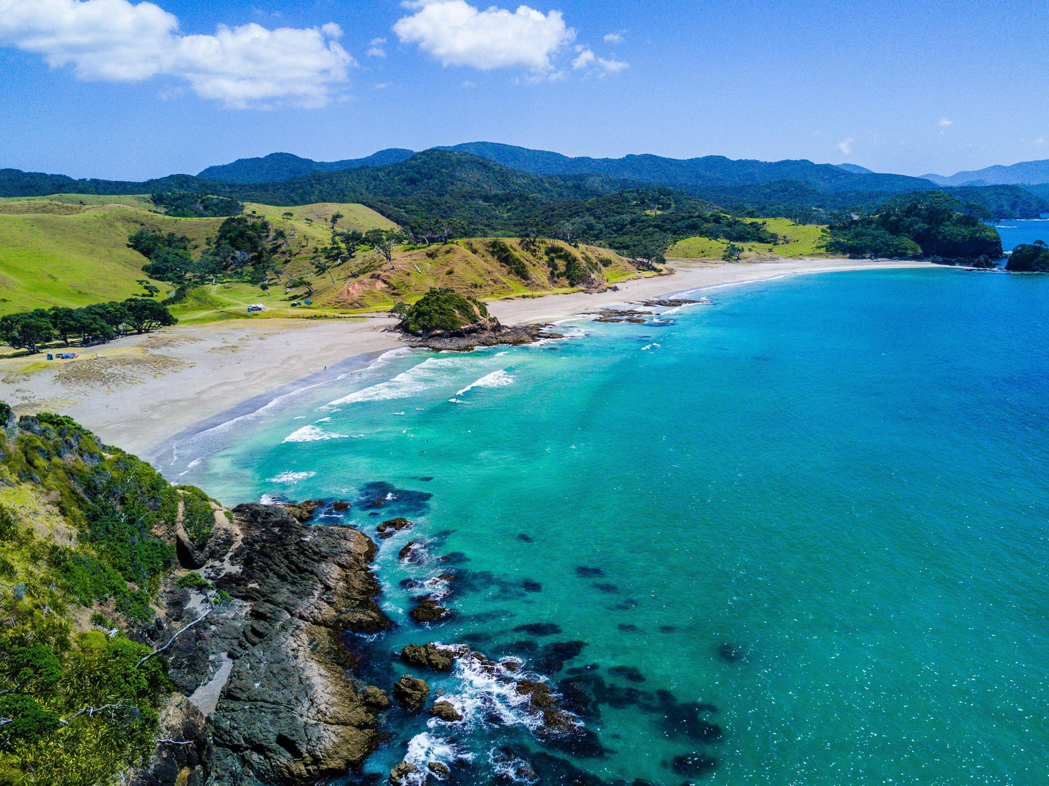 Sustainable NZ Business