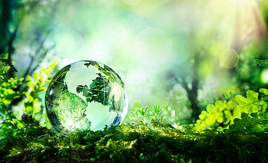 Sustainability image for Leading Solutions. A water droplet in the shape of the globe in a clean, green environment